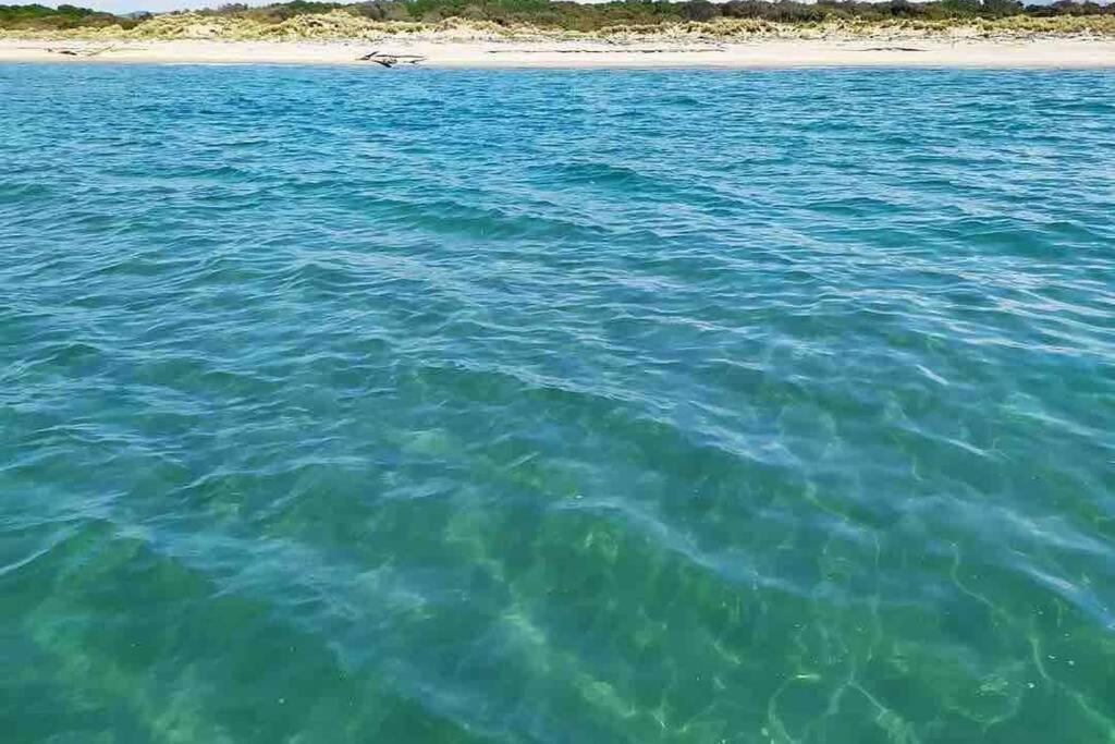 Appartamento nel cuore di Viareggio Esterno foto